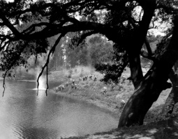 Ballona Creek 1924